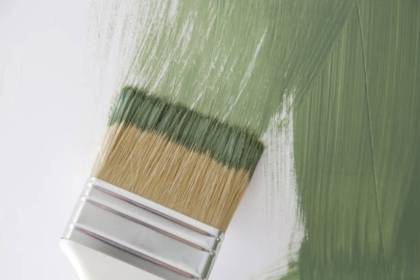 Best Black Mold Removal  in Shokan, NY