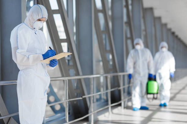 Best Asbestos and Lead Testing During Mold Inspection  in Shokan, NY