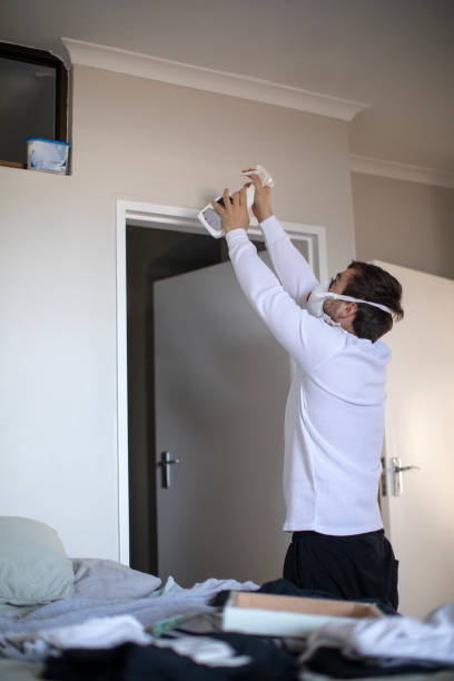 Best Water Damage & Mold Remediation  in Shokan, NY
