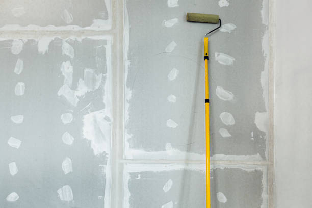 Best Mold Damage Restoration  in Shokan, NY
