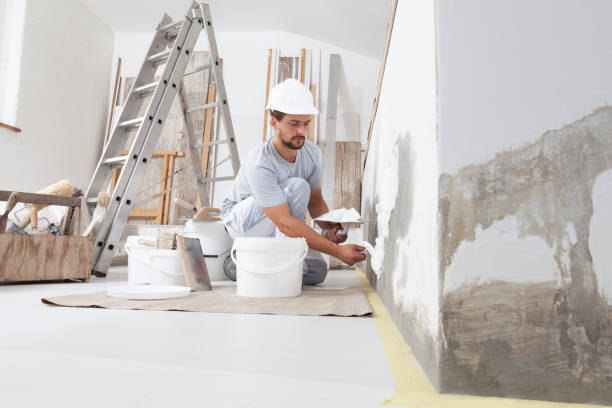 Best Basement Mold Removal  in Shokan, NY