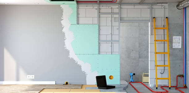 Best Mold Remediation for Rental Properties  in Shokan, NY