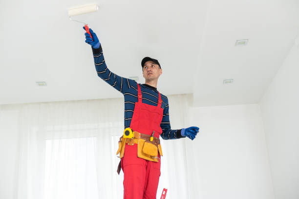 Best Mold Removal for HVAC Installations  in Shokan, NY
