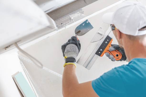 Mold Documentation for Insurance Claims in Shokan, NY